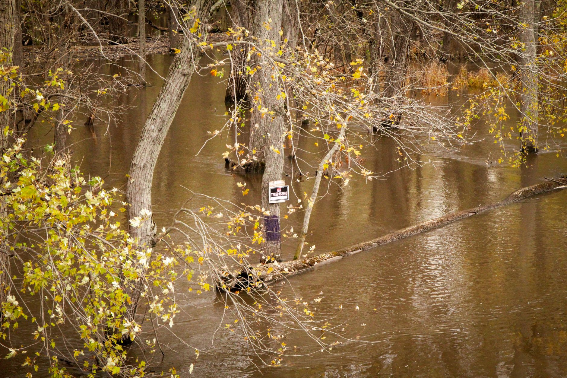 Hocking River flood plain in Athens County