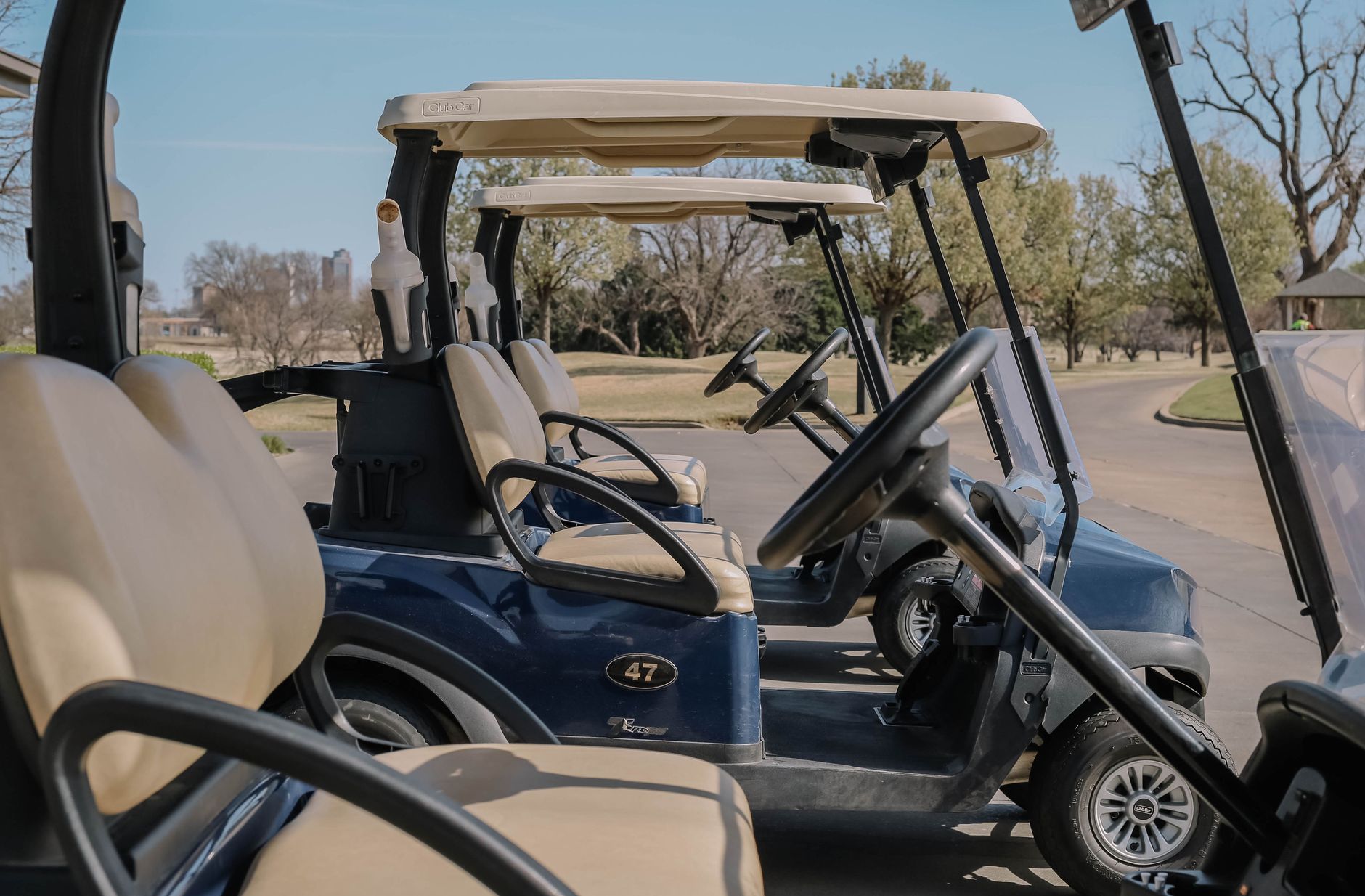 electric golf cart residential street