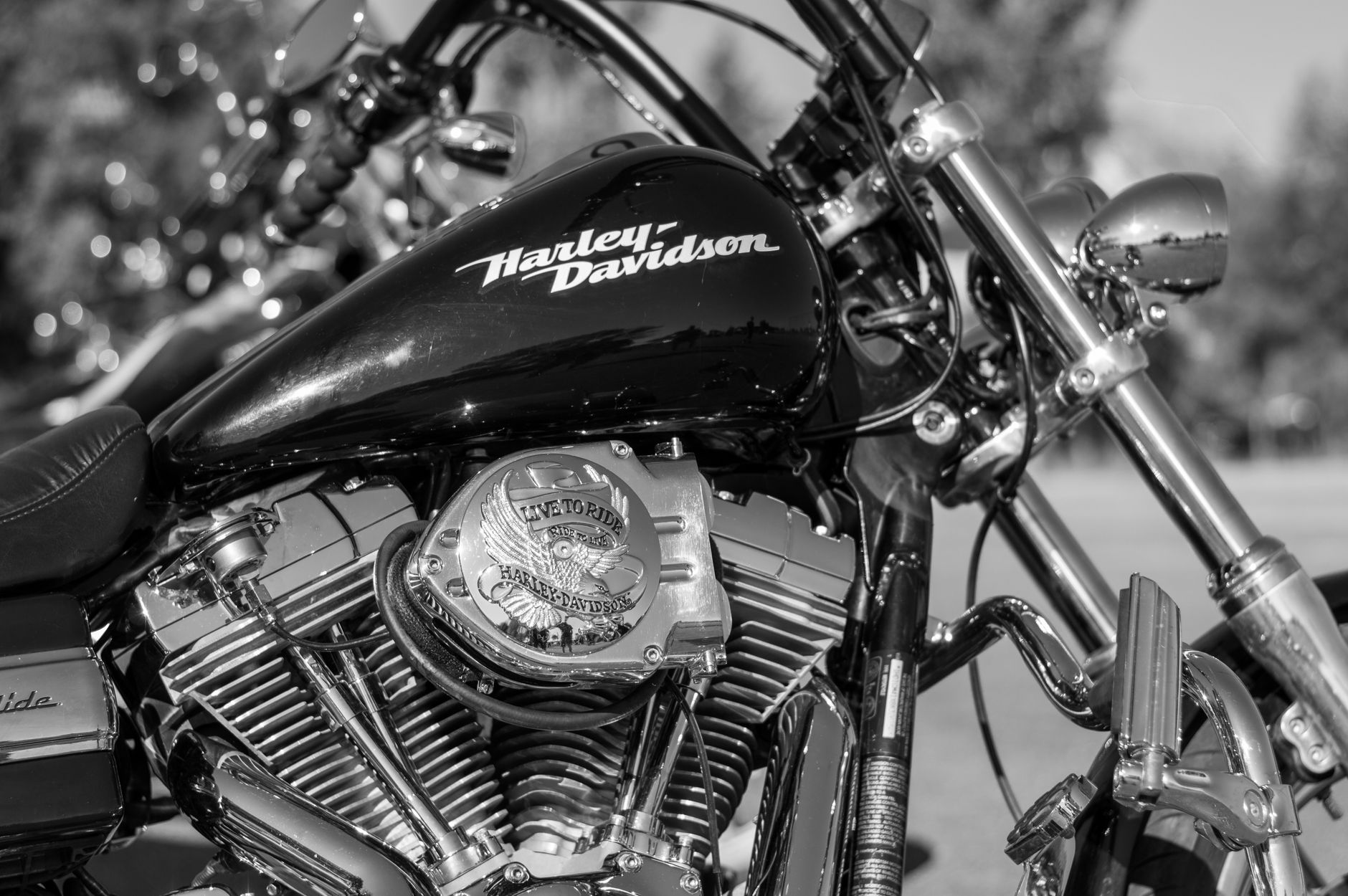 harley davidson cruiser chrome