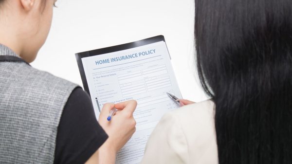 reading insurance policy contract