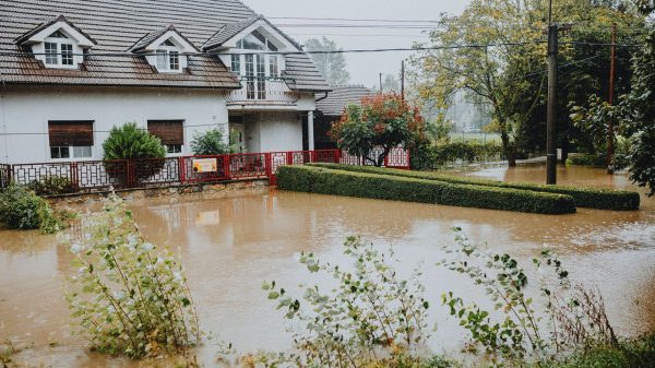 property flood zone map