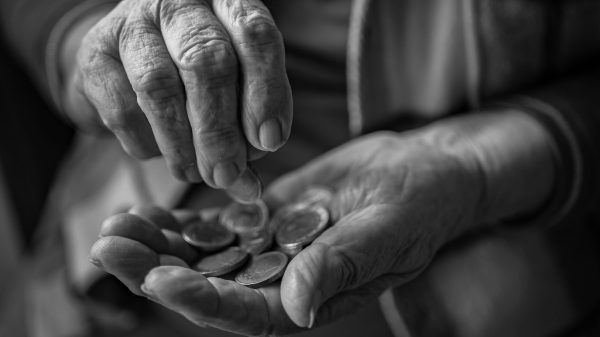 senior budget fixed income
