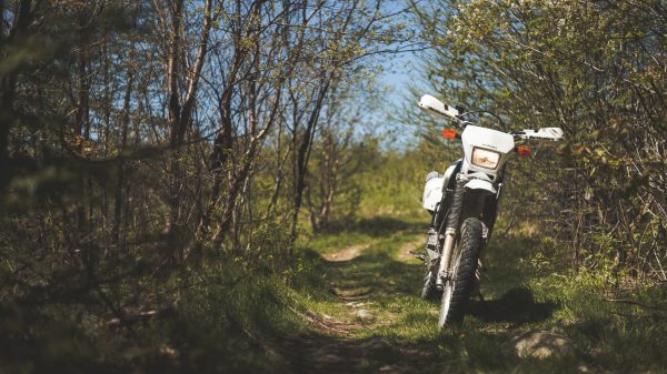 dirt bike trail woodland