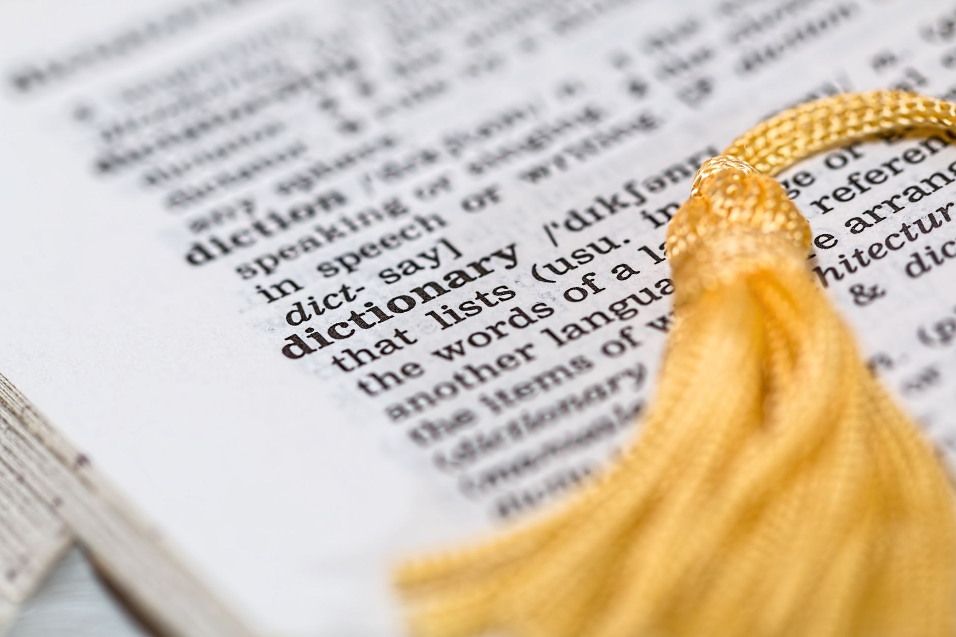 policyholder dictionary insurance