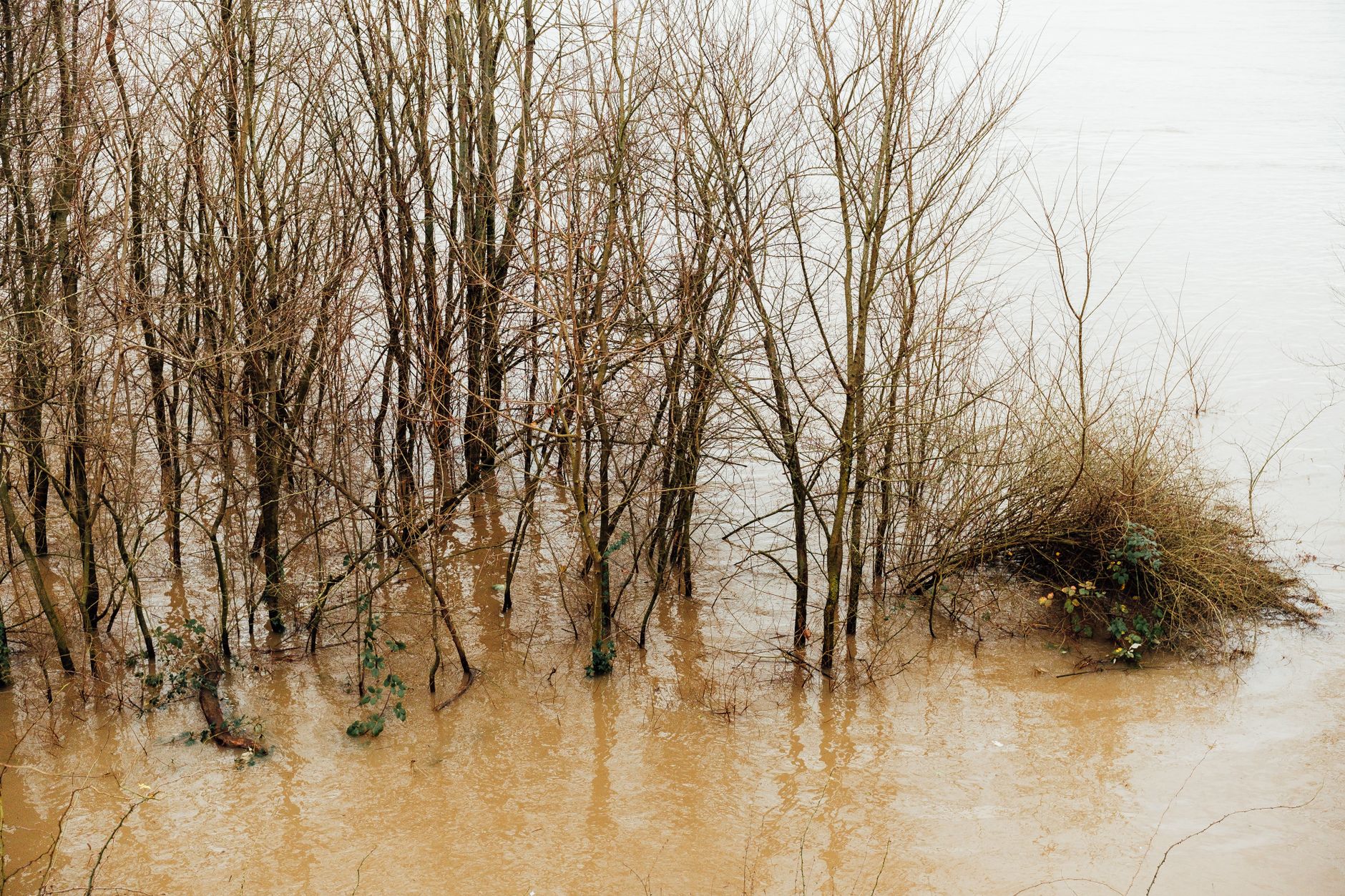 Historical Ohio River flood high water mark