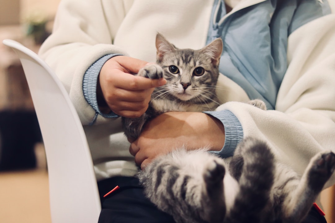 Pet annual wellness health checkup