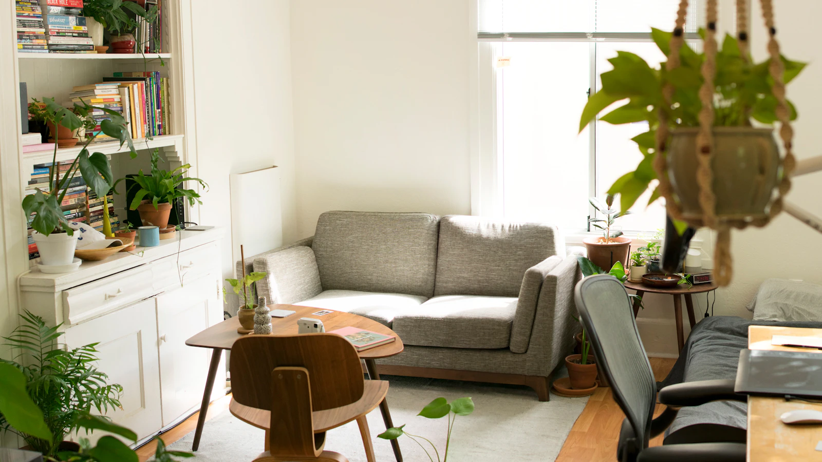 Ohio renter in modern apartment — renters insurance costs as little as 15-25 per month