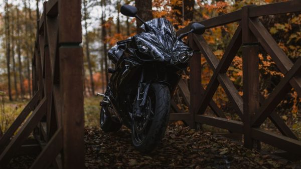 motorcycle autumn fall road