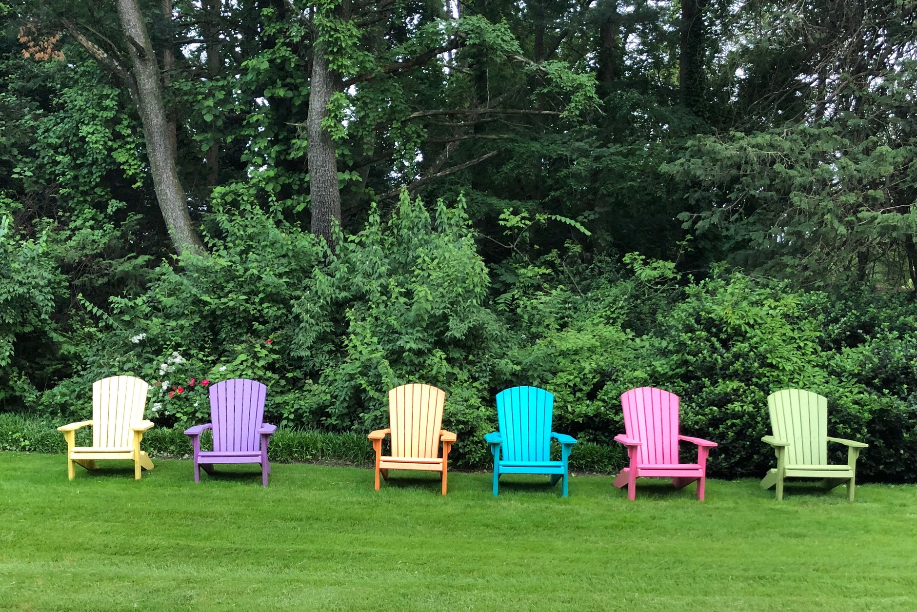 Adirondack chairs on a backyard lawn
