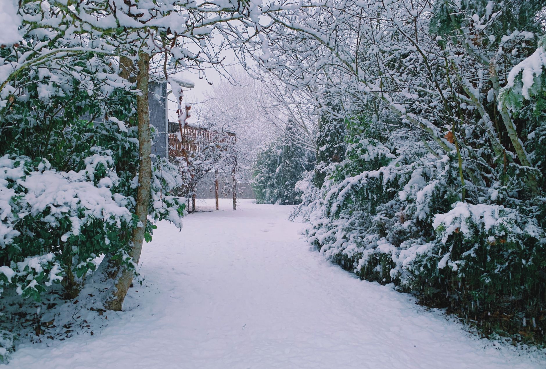 A backyard covered in snow