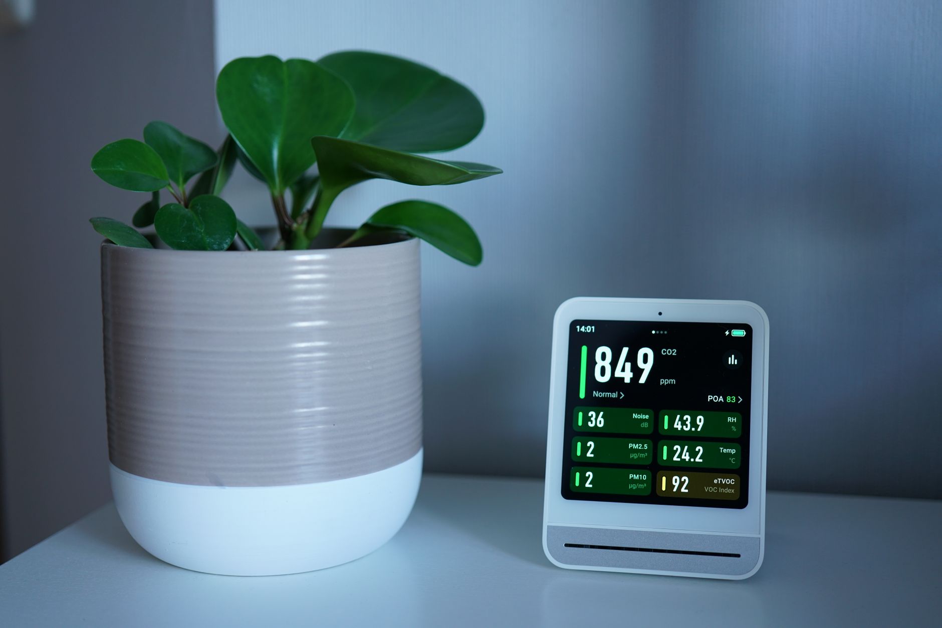 An indoor air monitor next to a potted plant