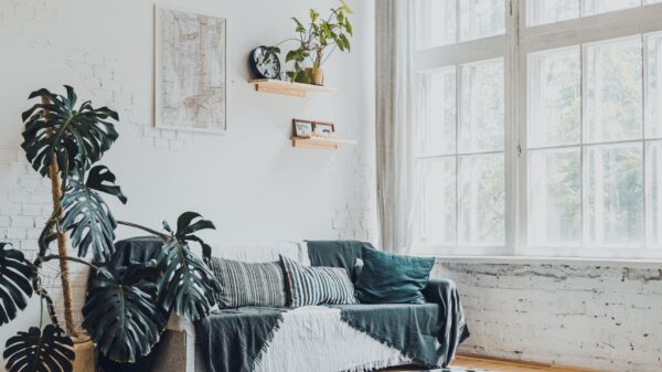 A bright living room with a sofa and plants