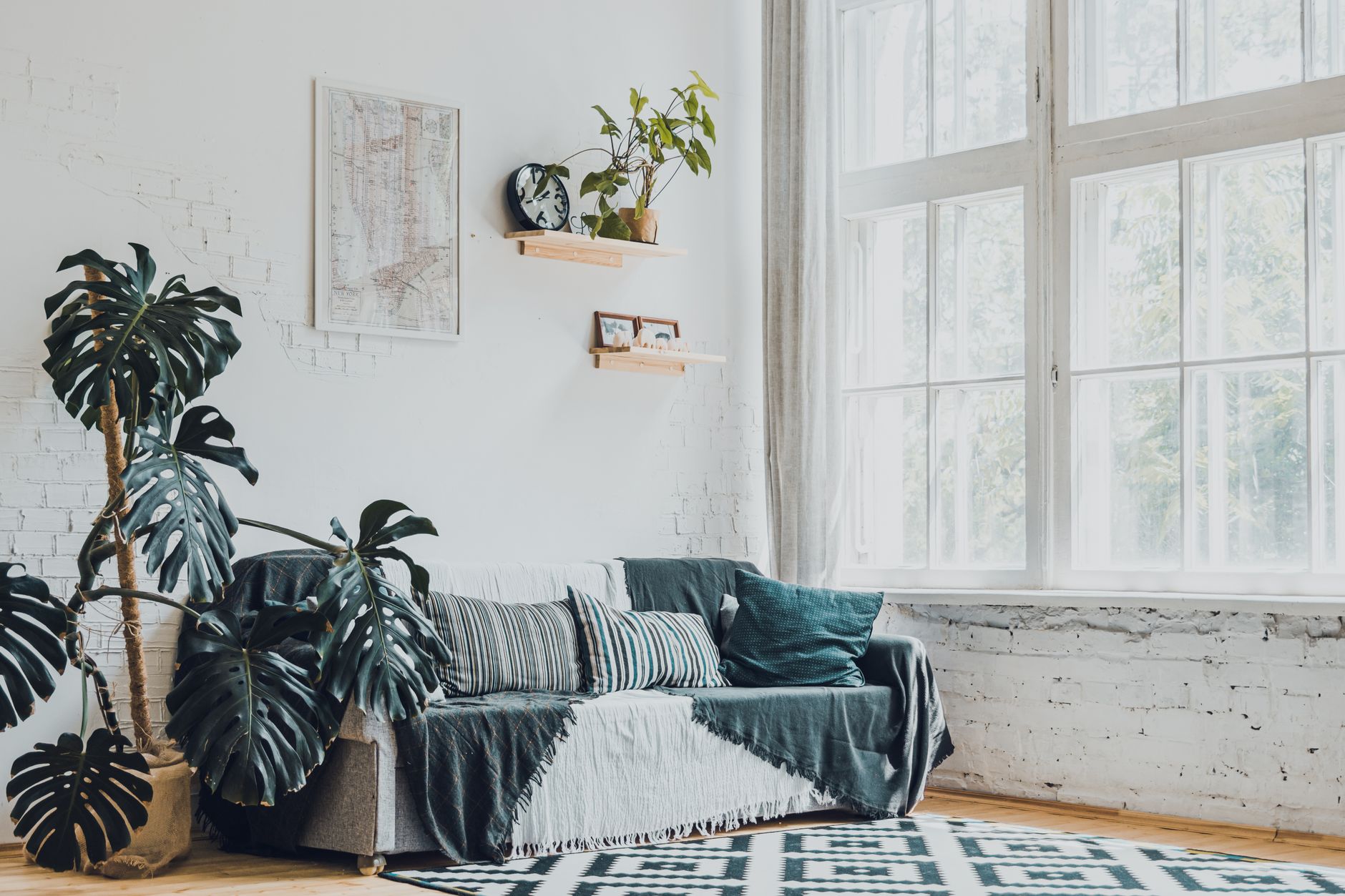 A bright living room with a sofa and plants
