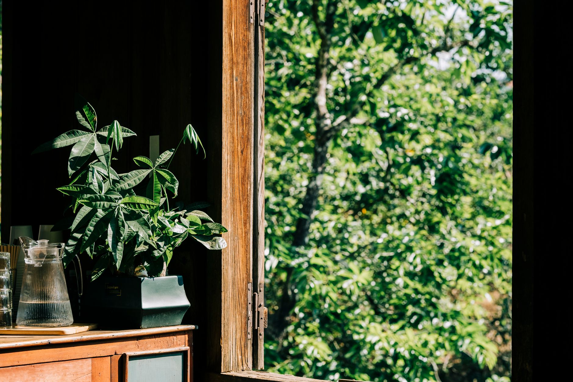 An open window beside a potted plant