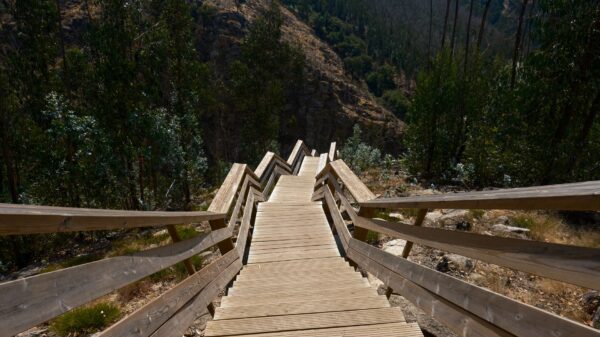 A wooden boardwalk staircase on a hillside