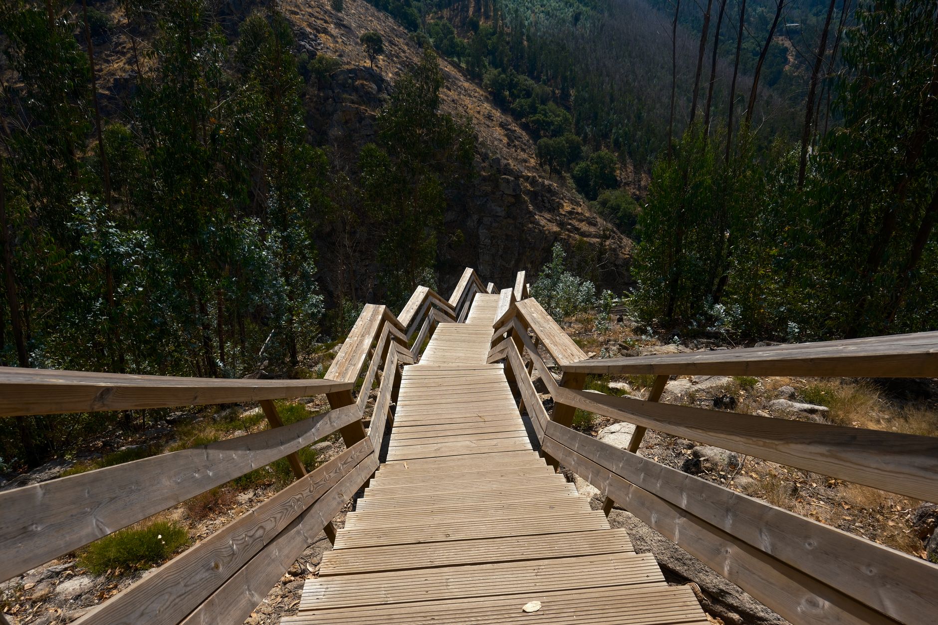 A wooden boardwalk staircase on a hillside