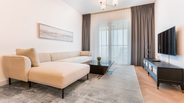Best area rug: a patterned rug in front of a sofa in a living room