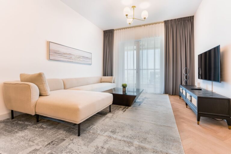 Best area rug: a patterned rug in front of a sofa in a living room
