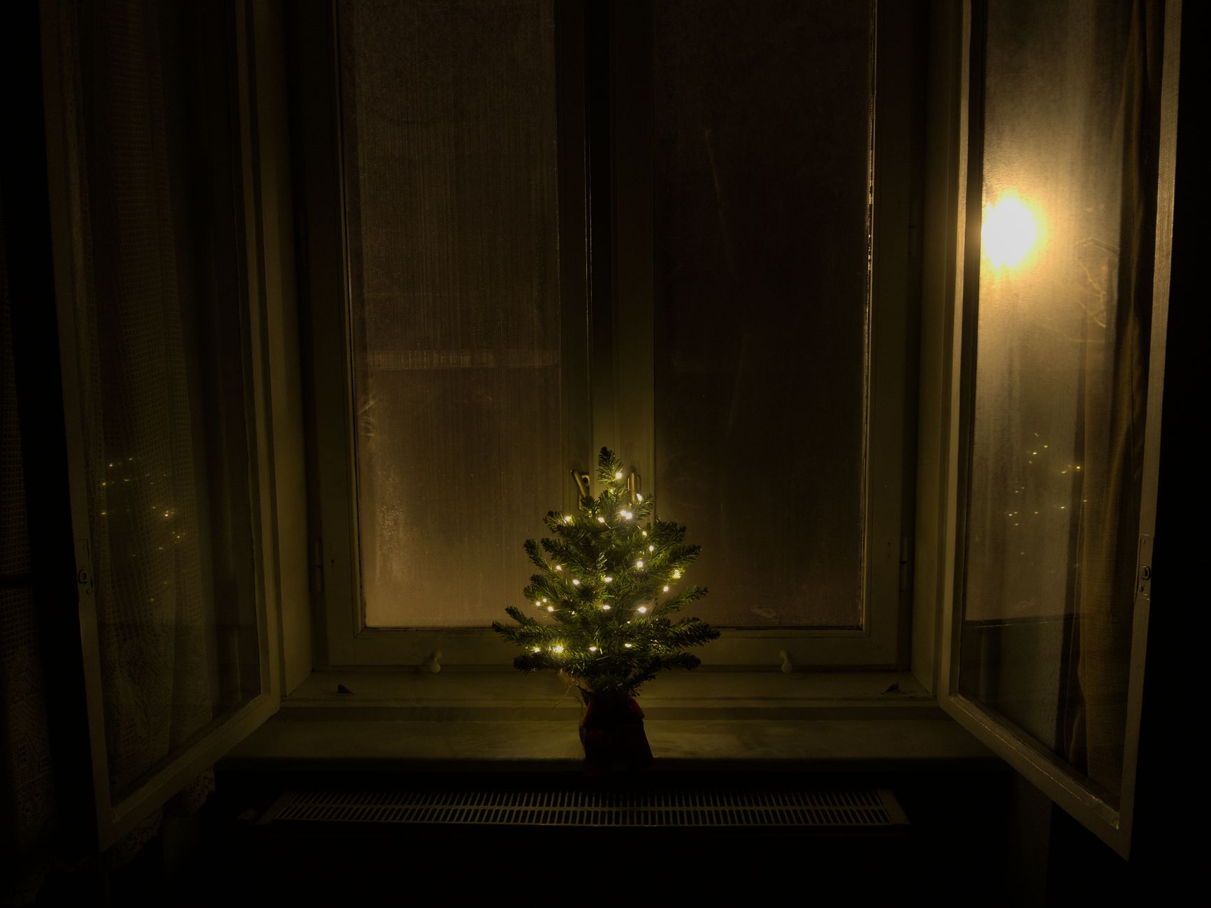 A small lit tree in a dark window