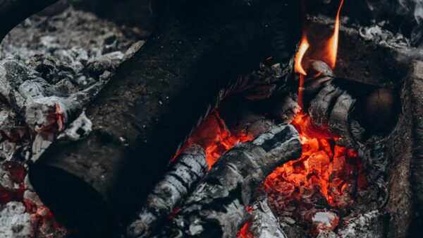 Best ash vacuum: ash and burned logs in a home fireplace