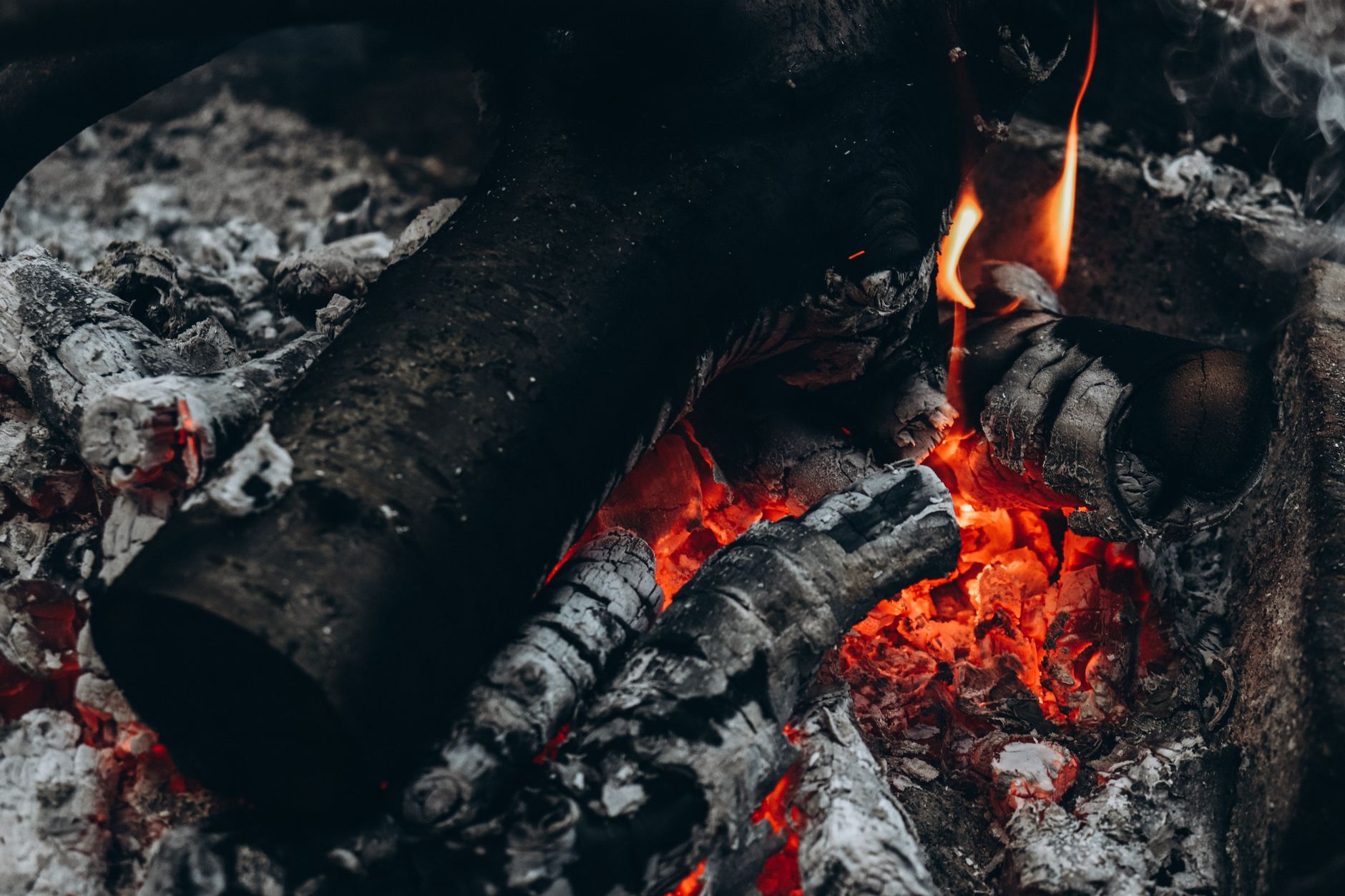 Best ash vacuum: ash and burned logs in a home fireplace
