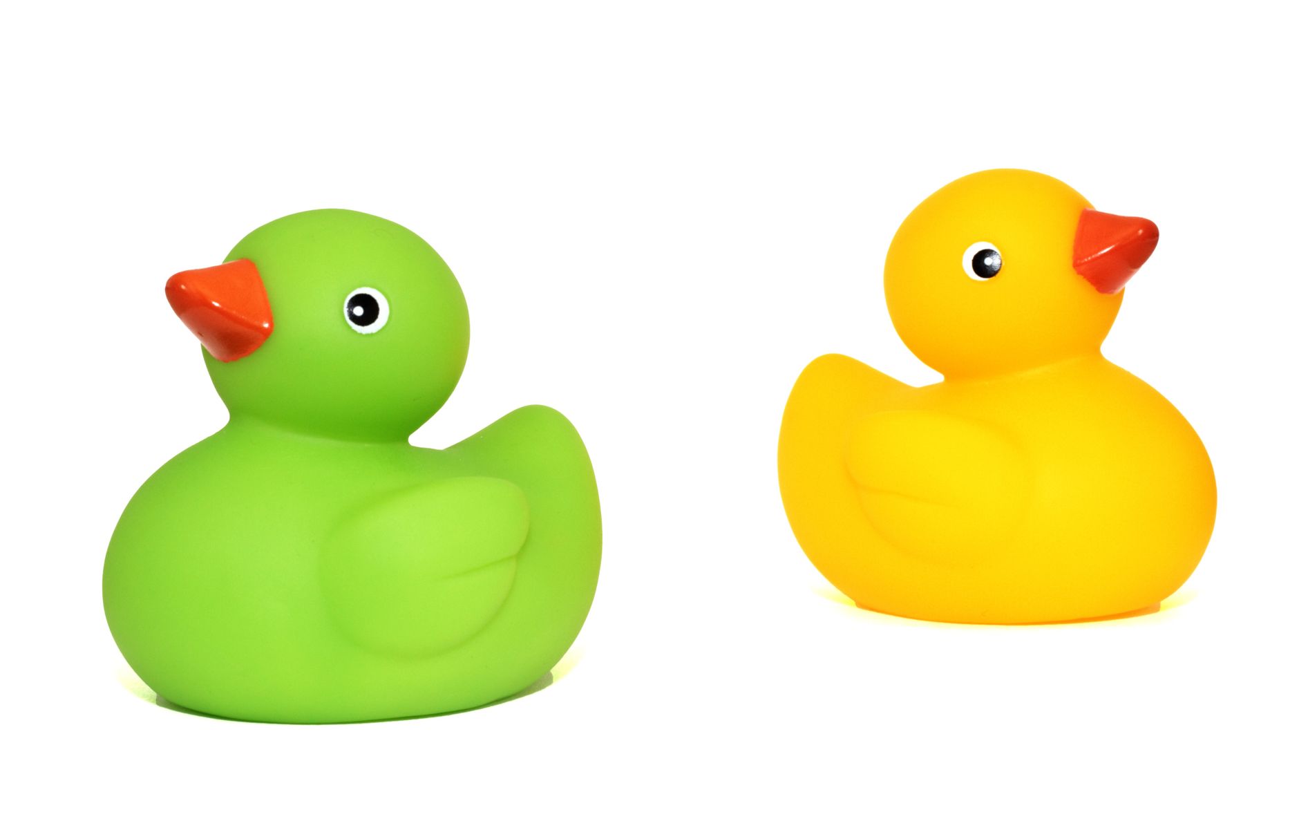 A rubber duck floating in bath water