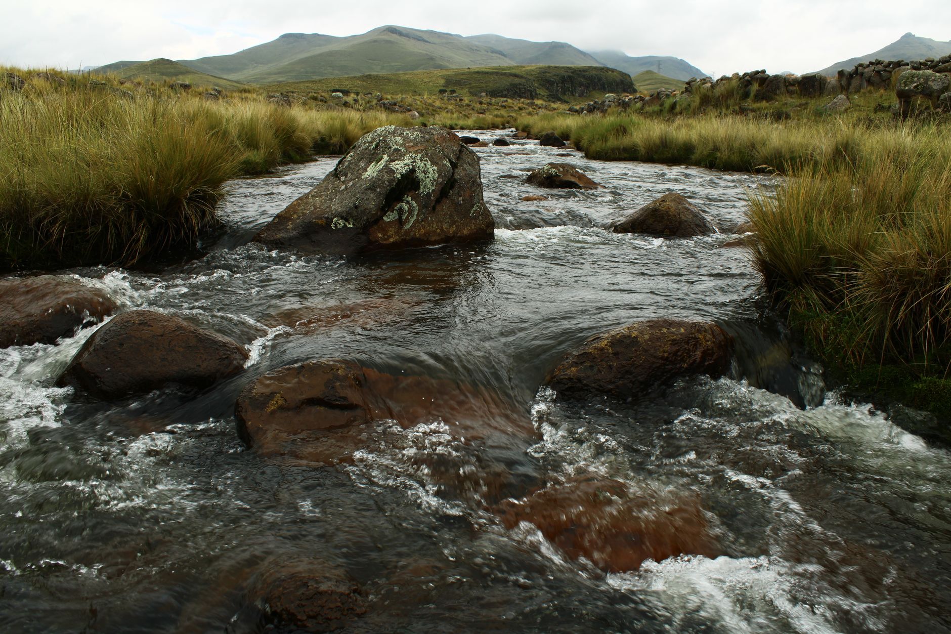 Clear water running in a mountain stream