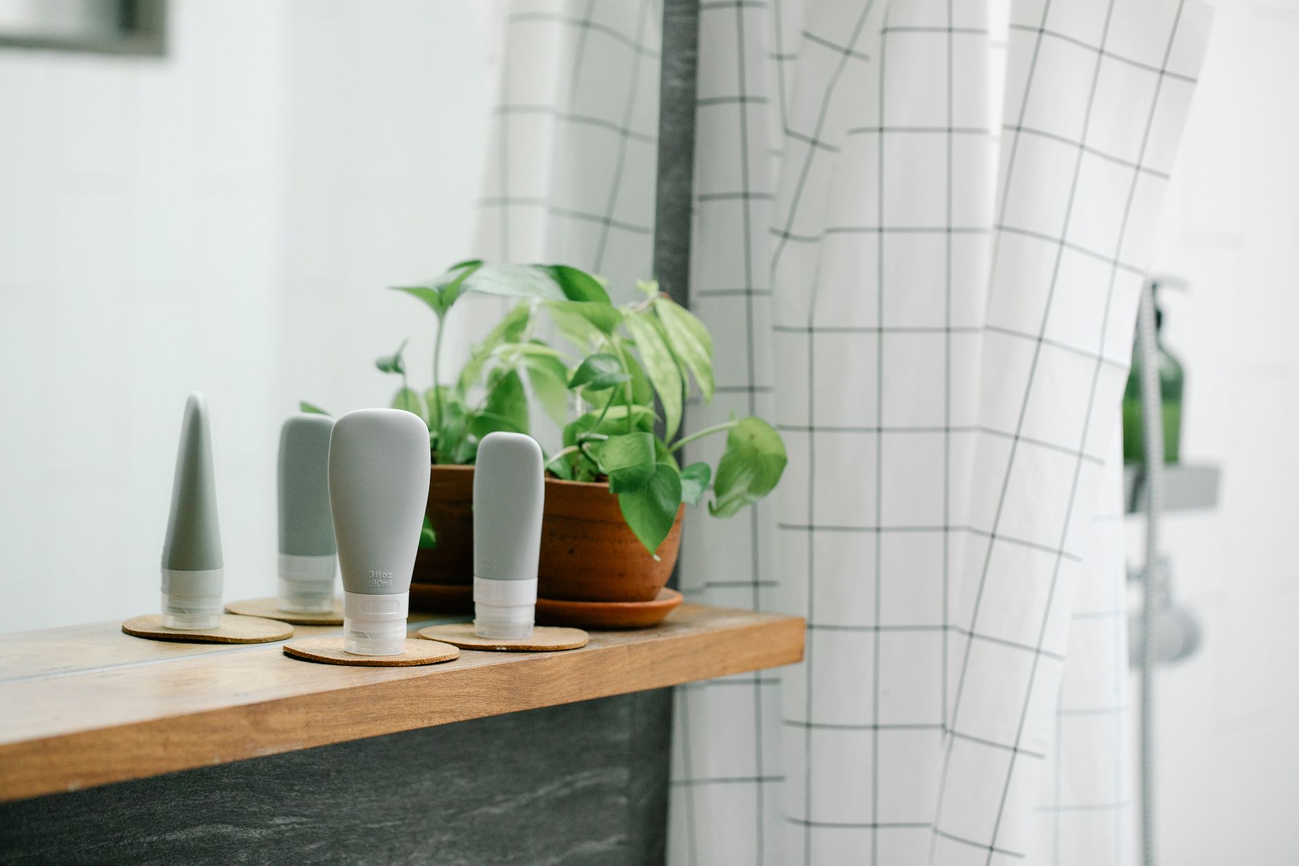 Small plants on a shelf in a bathroom