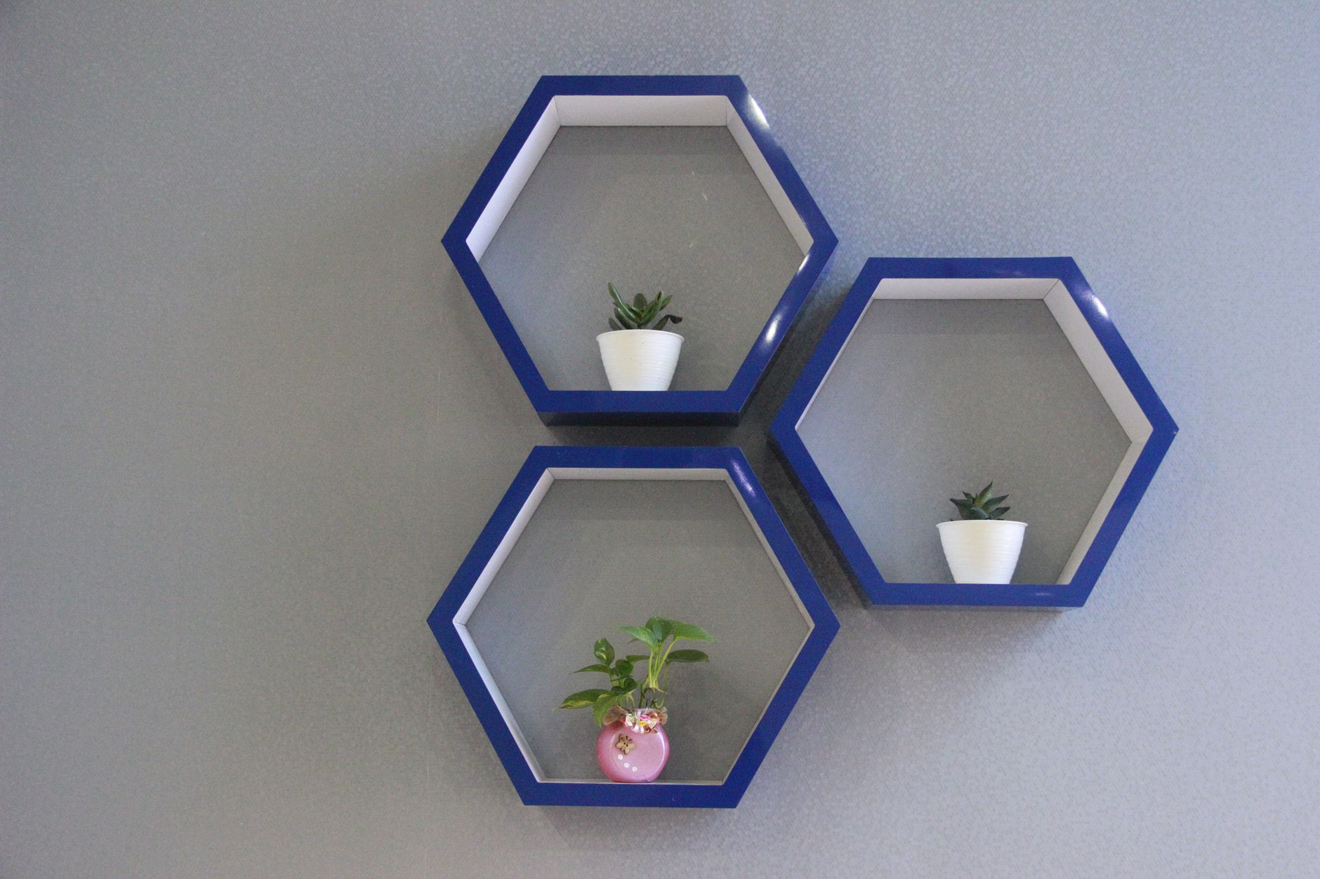 A wall shelf holding plants and small items