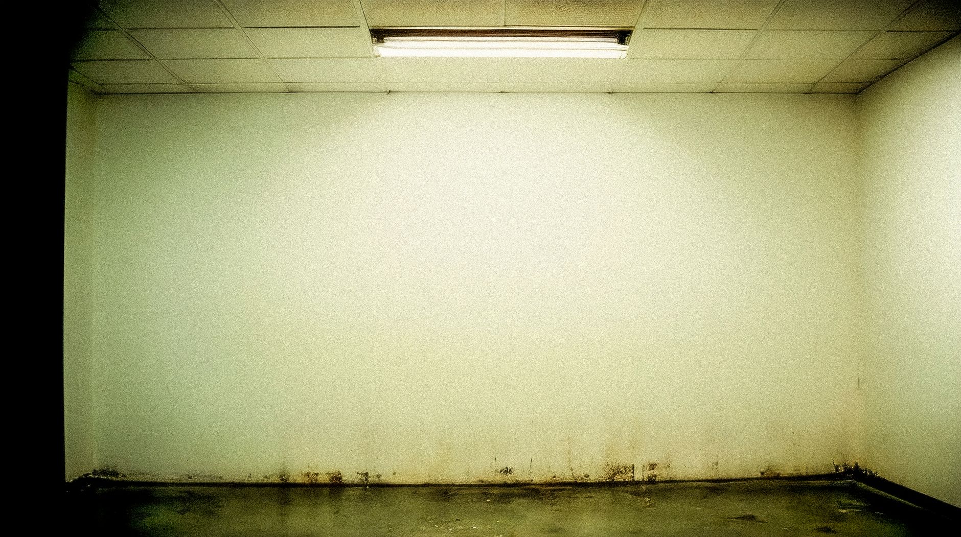 Water damage stains on a basement wall