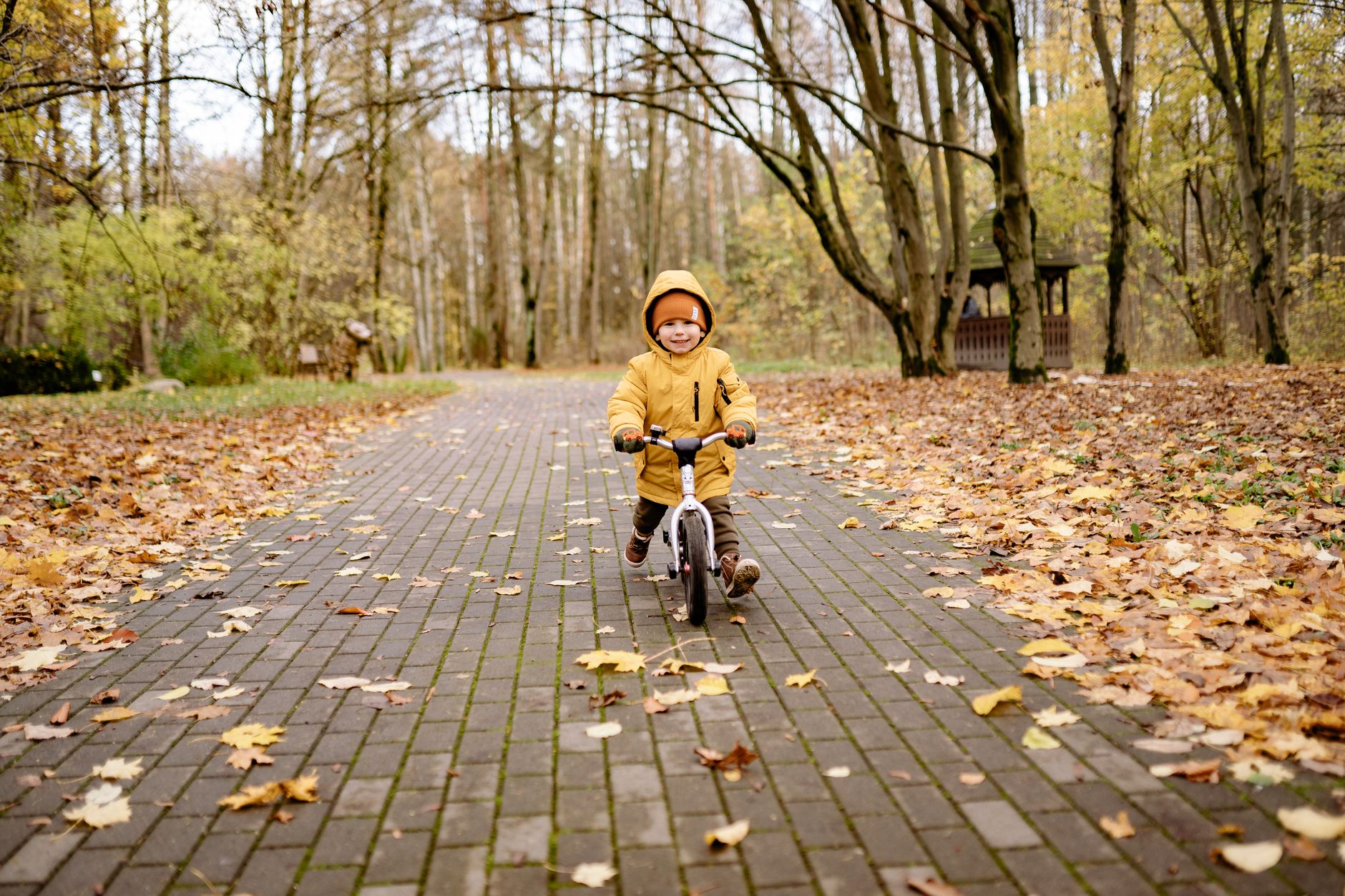 A child riding a bicycle outdoors