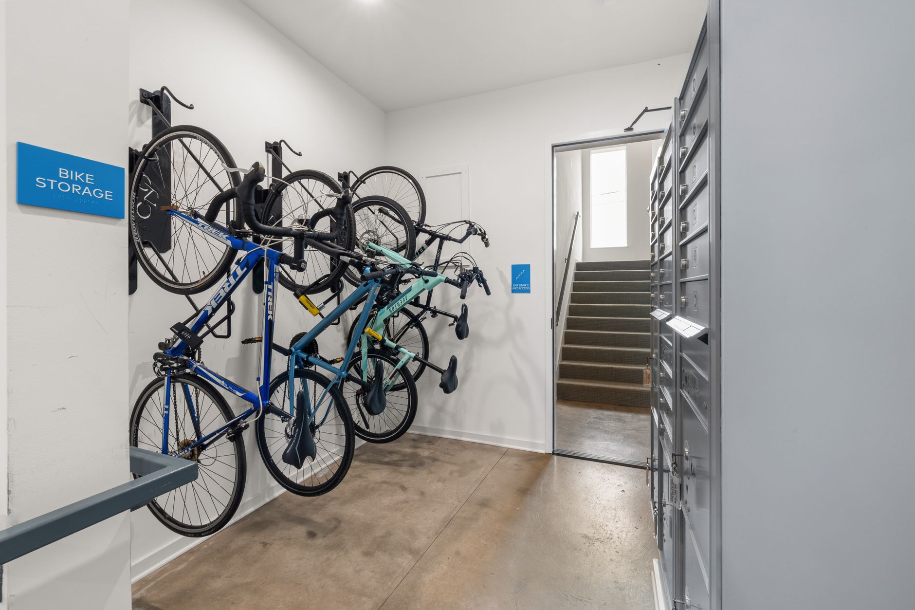 A bicycle hanging on an indoor wall