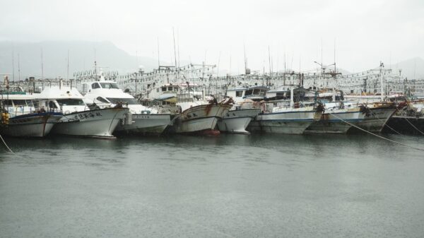 Rows of boats moored in a harbor