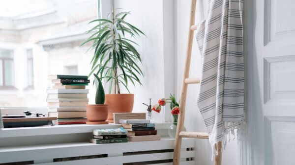 Best blanket ladder: blankets hanging on a ladder in a living room