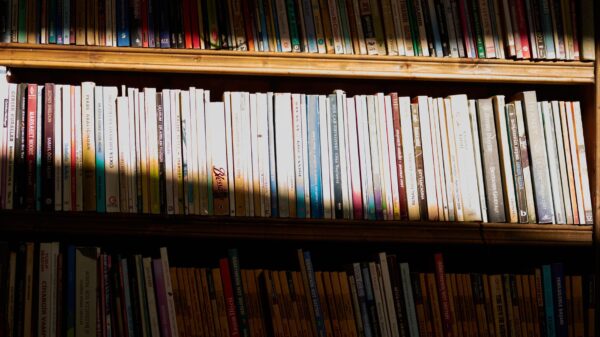 Best bookends: a row of books standing on a wooden shelf