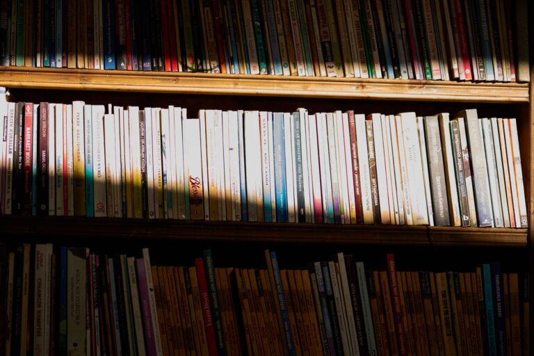 Best bookends: a row of books standing on a wooden shelf