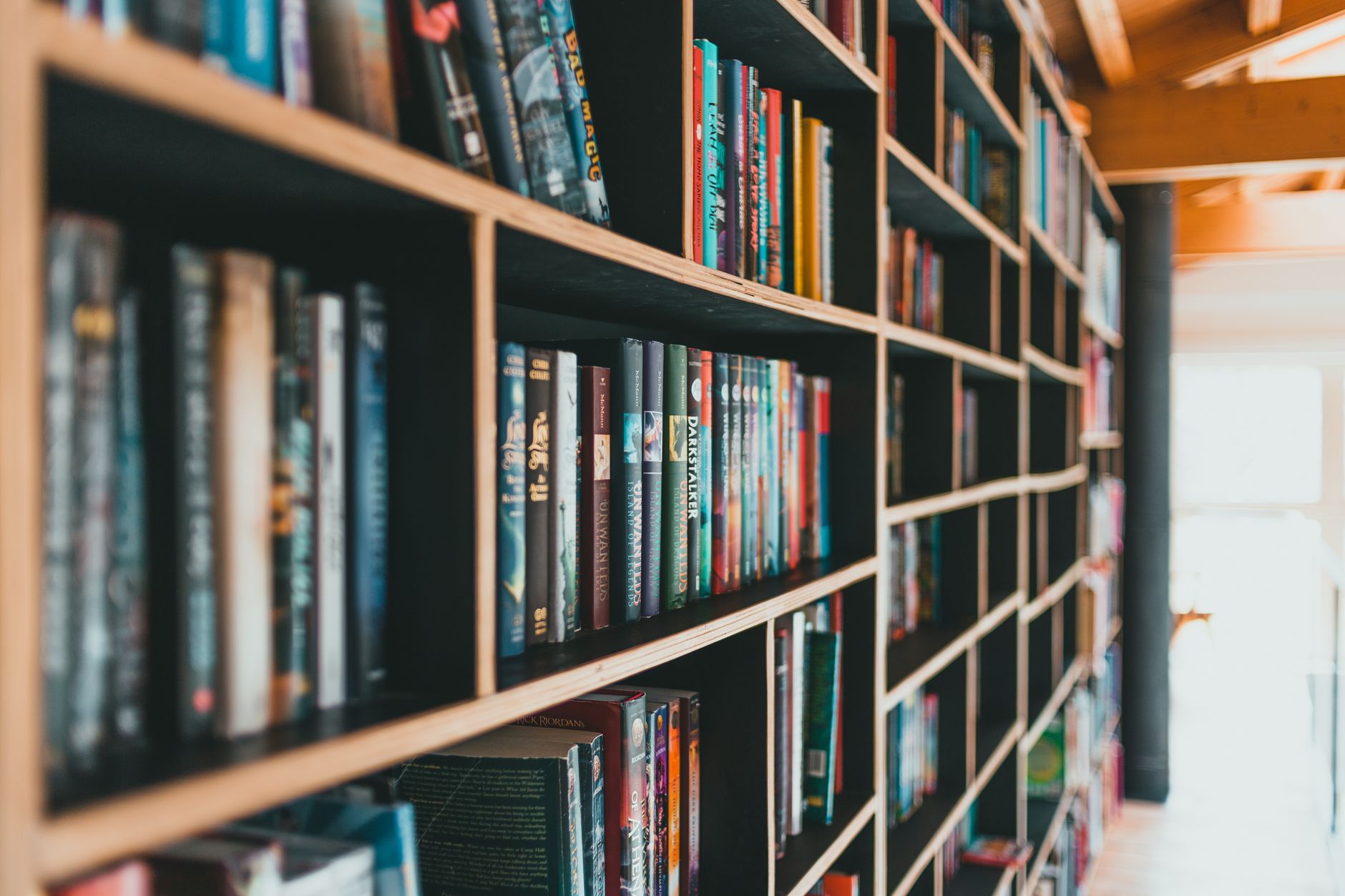 Books lined up on a home bookshelf