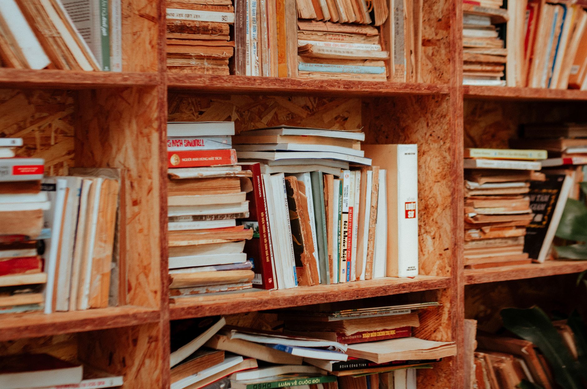 Books arranged on home shelves