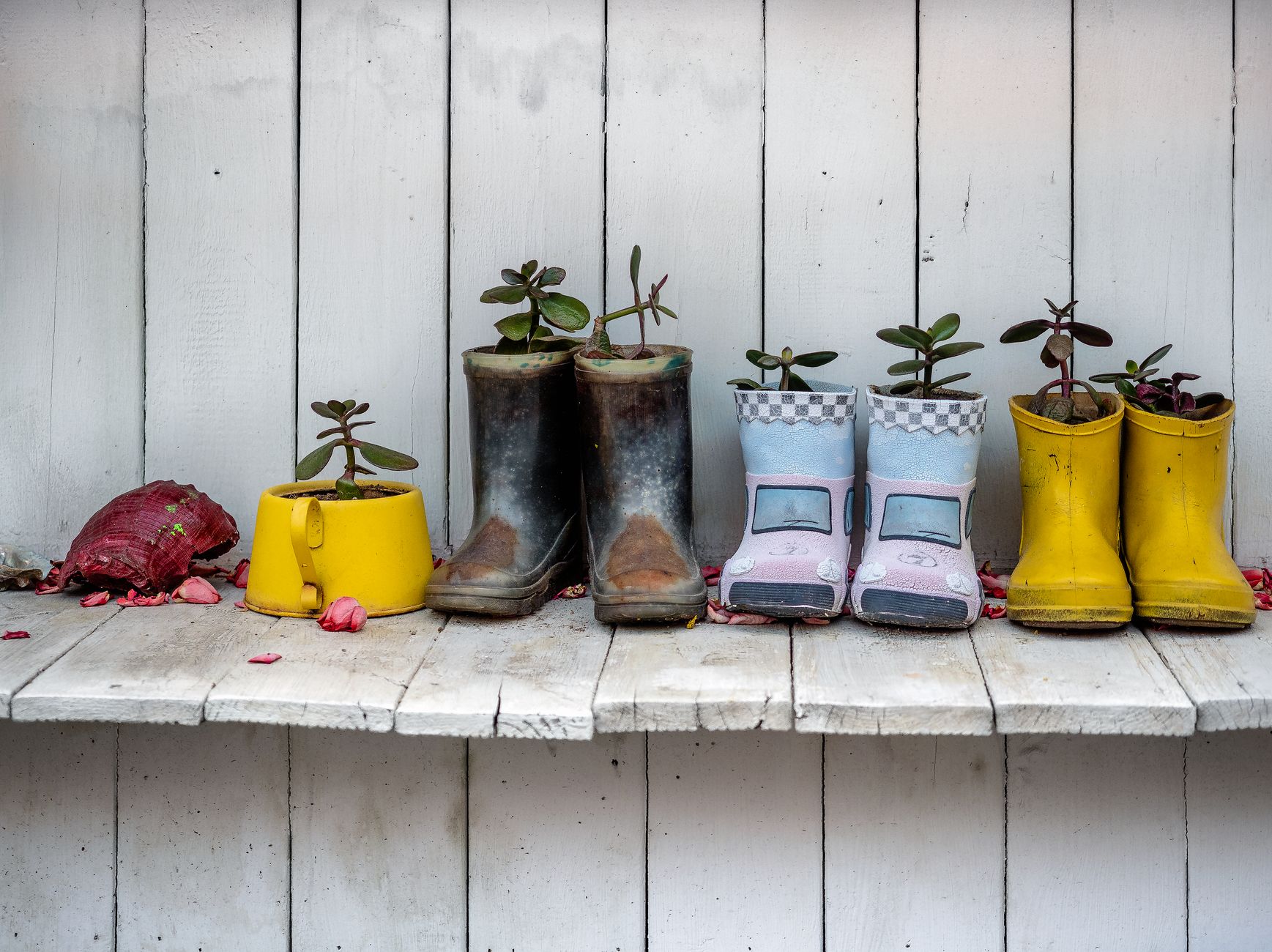 Rain boots standing indoors