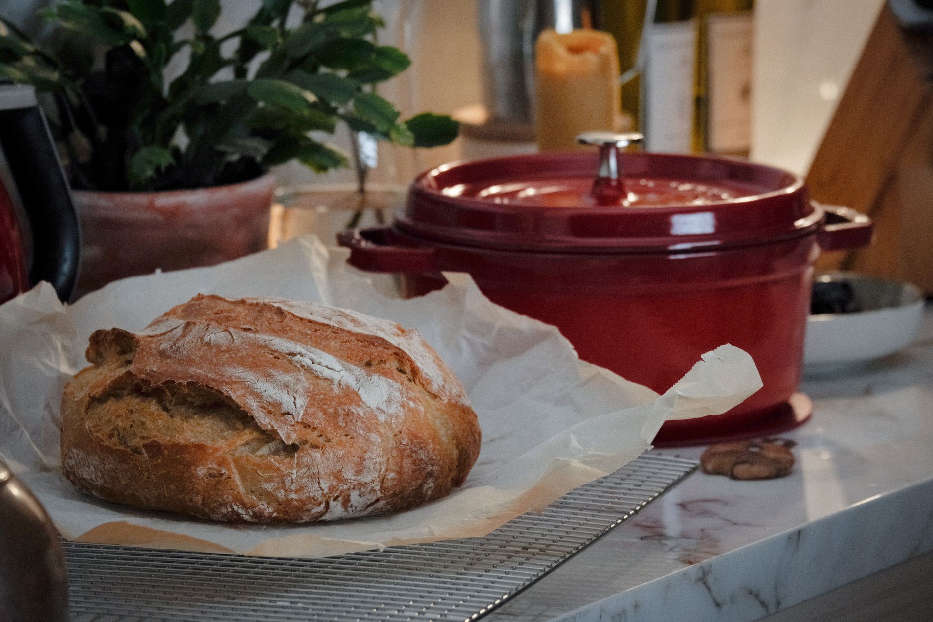 Best bread box guide: a loaf of bread on a kitchen counter