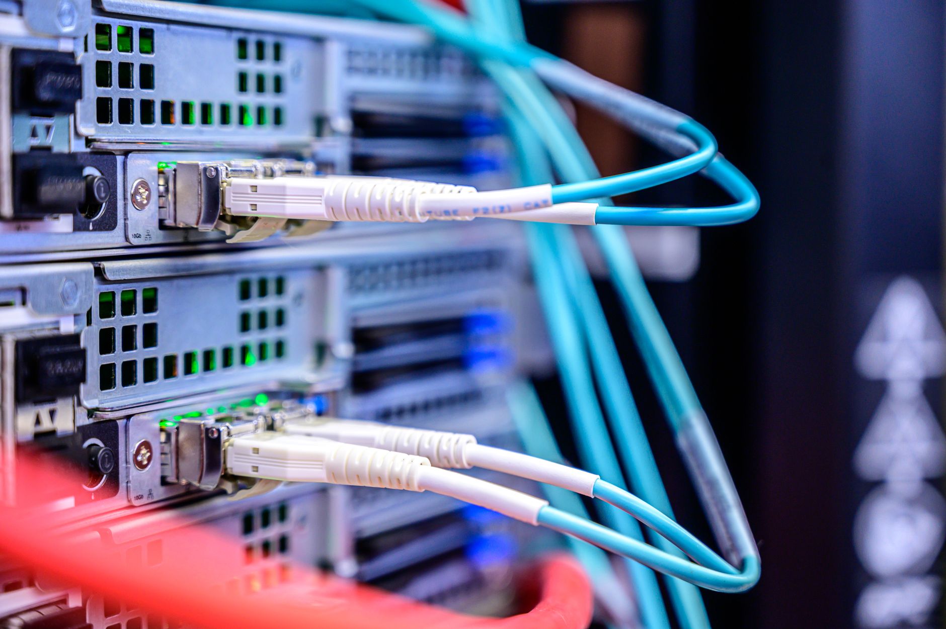 Network cables plugged into server equipment