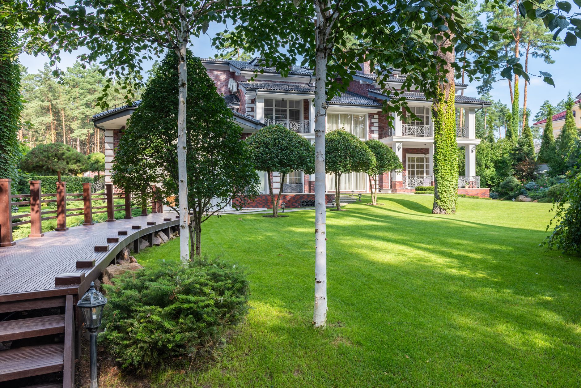 A green backyard lawn on a summer day