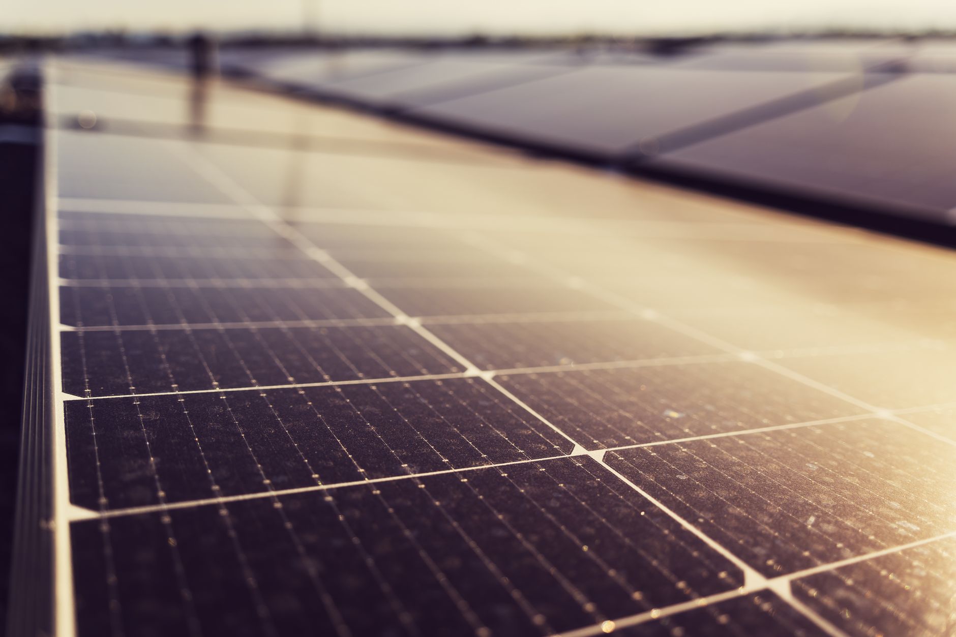 Close-up of solar panels