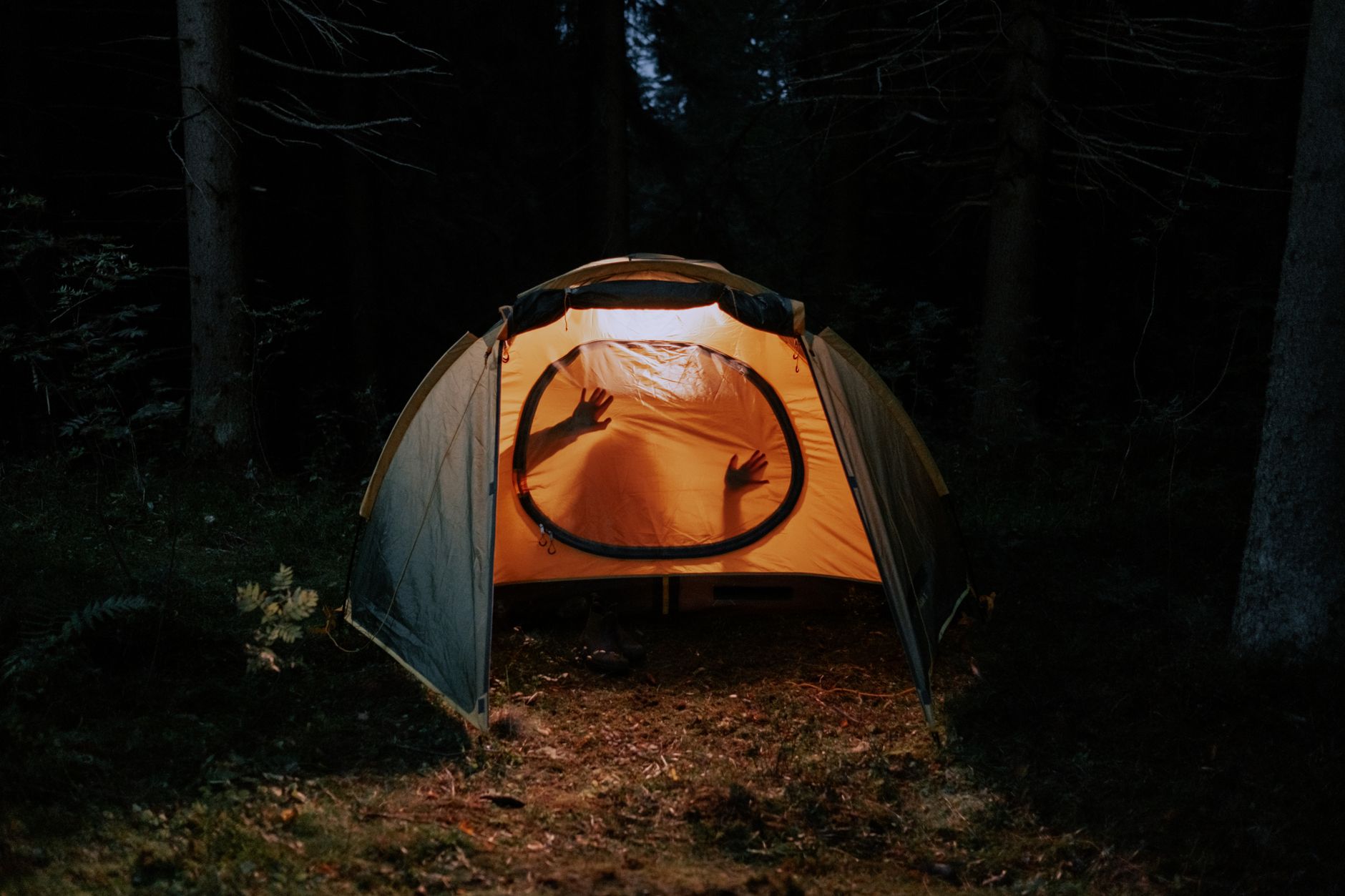 A tent glowing in the dark woods