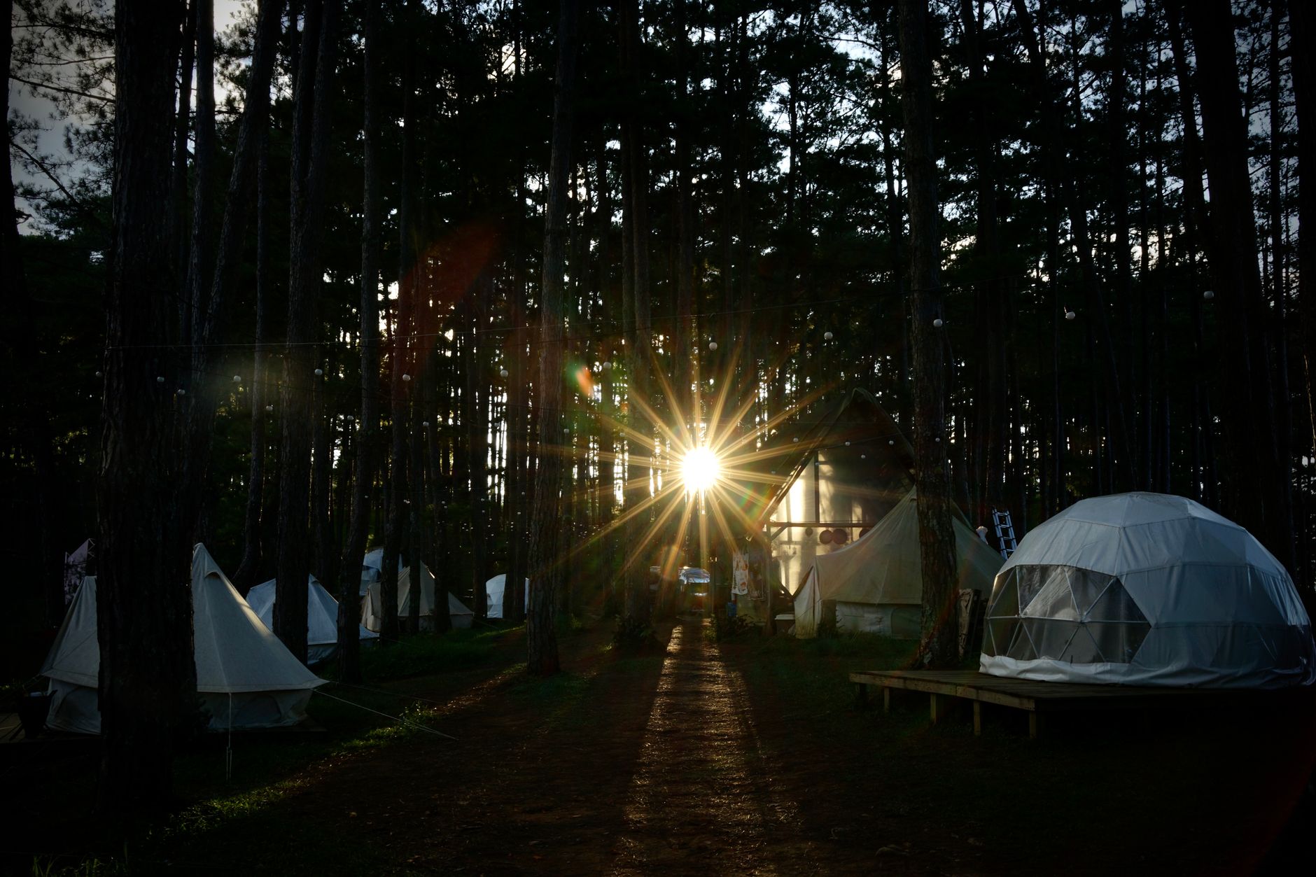 Sun shining through trees onto a glamping site
