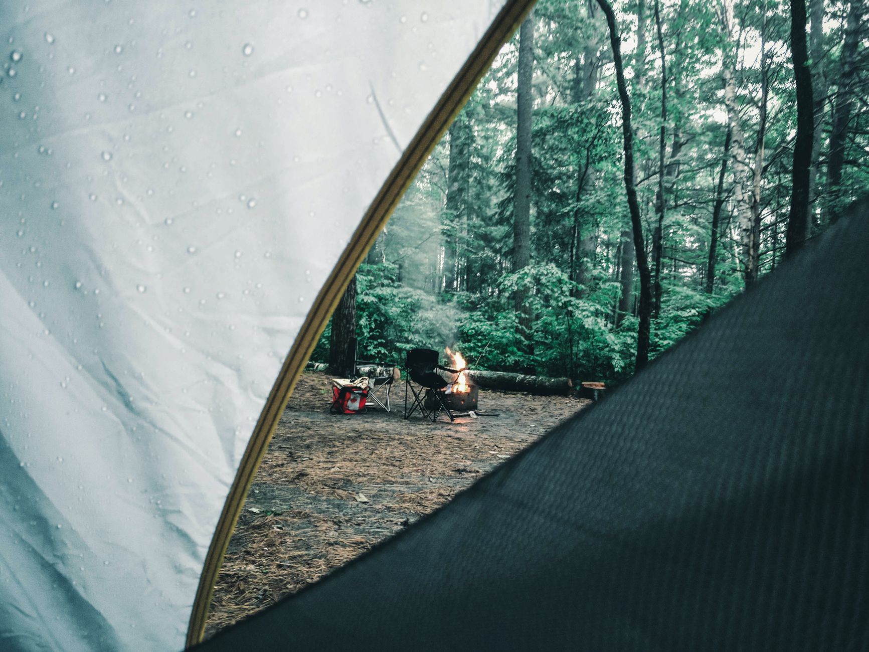 A forest campsite seen through a tent door