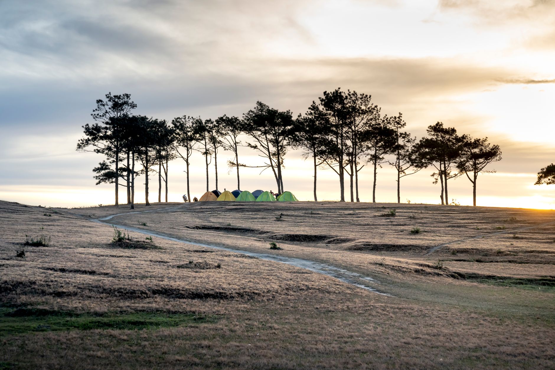Small tents on a grassy plain at sunset