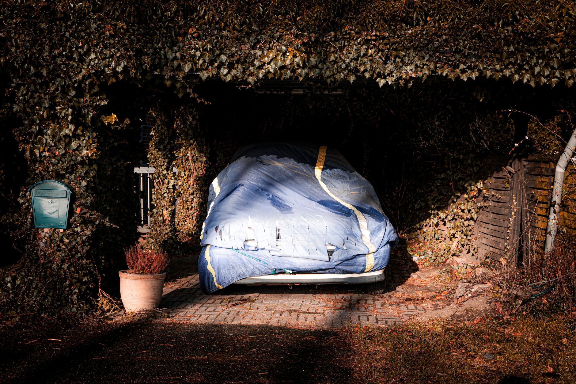 A covered car parked under a vine-covered carport