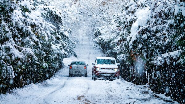 Cars driving down a snowy tree-lined road