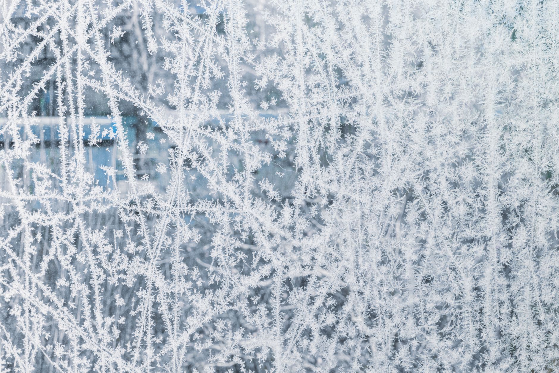 Ice crystals on a car window